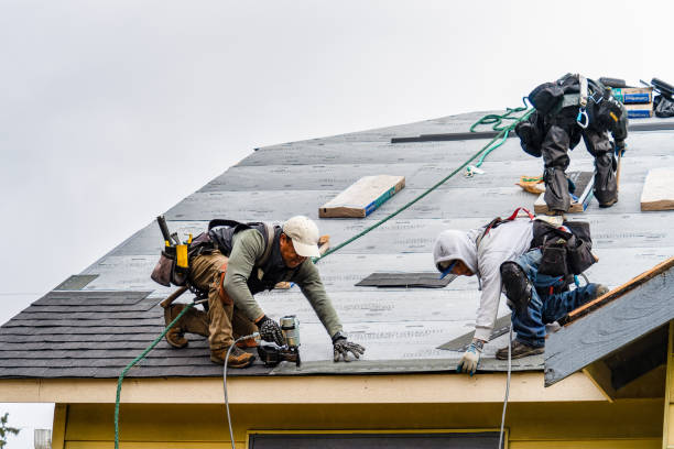 Professional Roofing technician working in Cobalt, ID
